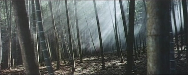 A Touch Of Zen Fotoğrafı