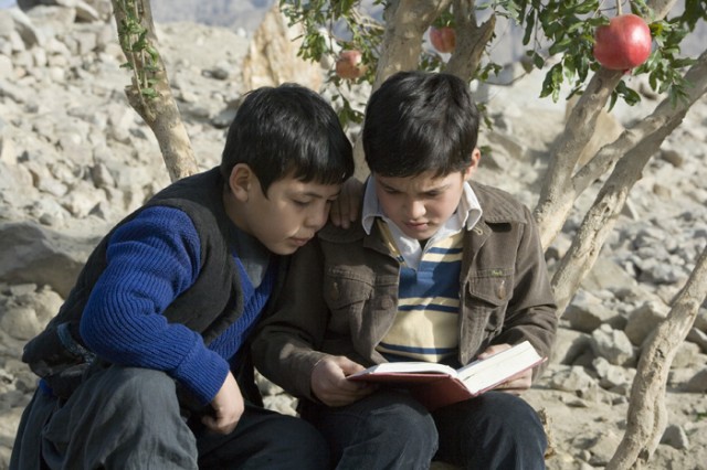 Uçurtma Avcısı Fotoğrafı