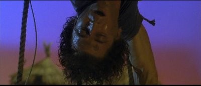 Teldeki Kuş Fotoğrafı