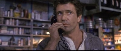 Teldeki Kuş Fotoğrafı