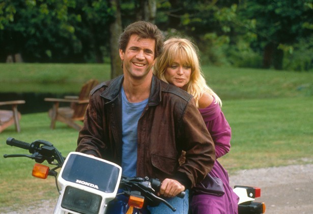 Teldeki Kuş Fotoğrafı