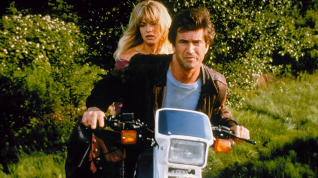 Teldeki Kuş Fotoğrafı