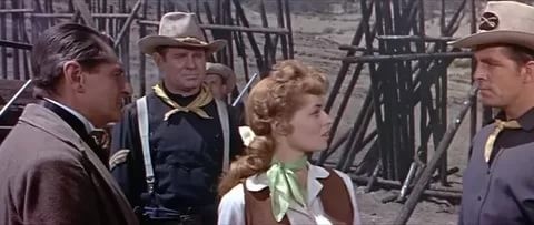 Oturan Boğa Fotoğrafı