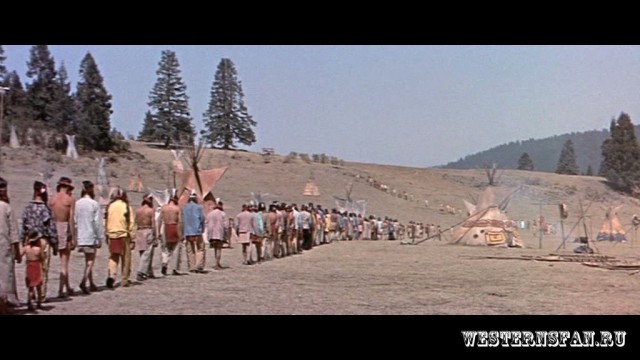 Oturan Boğa Fotoğrafı