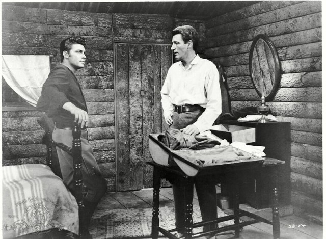 Oturan Boğa Fotoğrafı