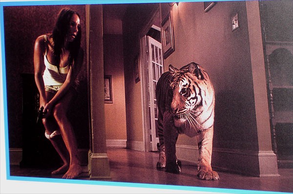 Kaplan Kapanı Fotoğrafı