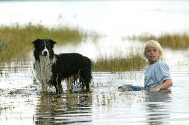Afacan Dörtler Fotoğrafı