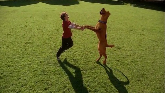Scooby-Doo! Gizem Başlıyor Fotoğrafı