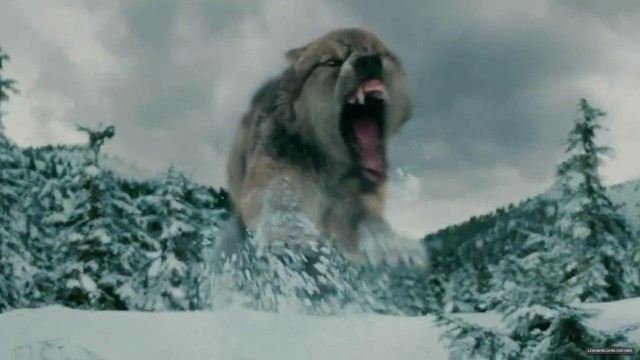 Alacakaranlık Efsanesi: Tutulma Fotoğrafı