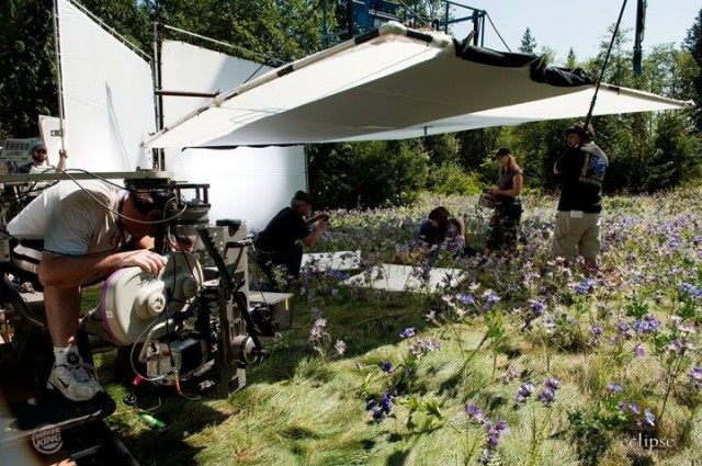 Alacakaranlık Efsanesi: Tutulma Fotoğrafı