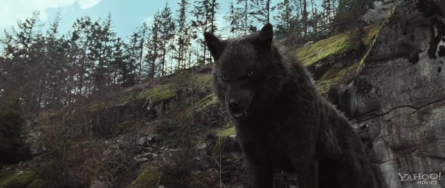 Alacakaranlık Efsanesi: Şafak Vakti Bölüm 1 Fotoğrafı