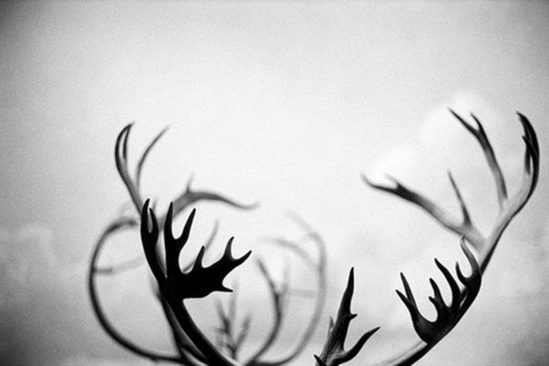 Doogie Howser Md Fotoğrafı