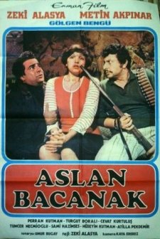 Aslan Bacanak (1977) afişi