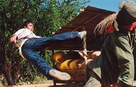 Born to Fight Fotoğrafı