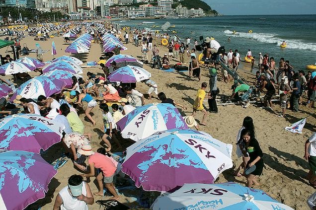 Tsunamiden Kaçış Fotoğrafı