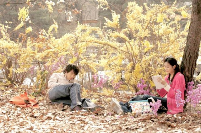 Yeşil Gül Fotoğrafı