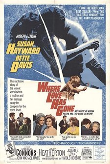 Sevgilim Nerede (1964) afişi