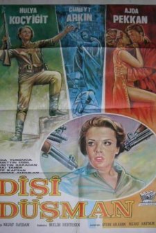 Dişi Düşman (1966) afişi