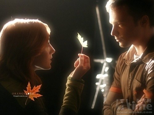 Orangelove Fotoğrafı