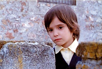 Arı Kovanının Ruhu Fotoğrafı