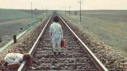 Arı Kovanının Ruhu Fotoğrafı