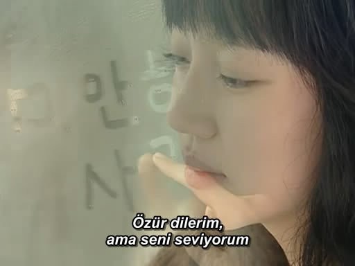 Özür Dilerim Ama Seni Seviyorum Fotoğrafı