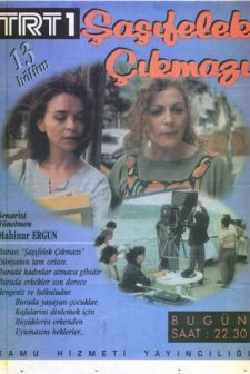 Şaşıfelek Çıkmazı (2000) afişi