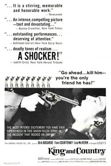 Kral Ve Ülke (1964) afişi