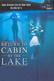 Cabin by the Lake 2 (2001) afişi