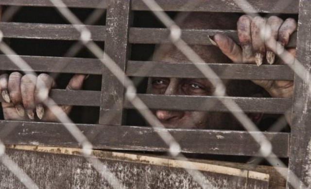 Kutsal Savaşçı Fotoğrafı