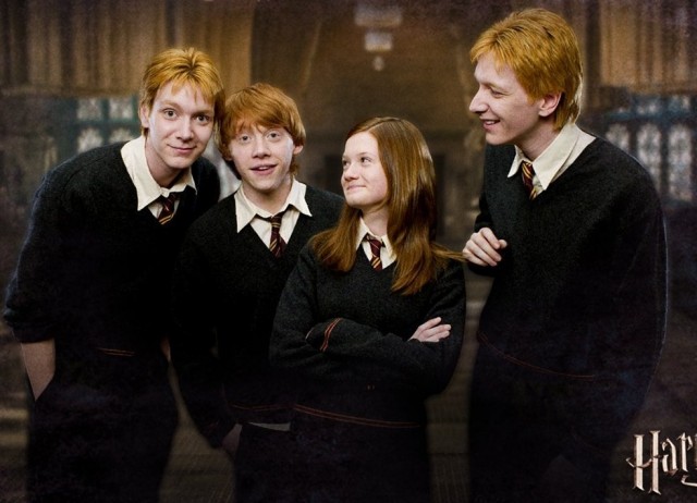 Harry Potter ve Zümrüdüanka Yoldaşlığı Fotoğrafı