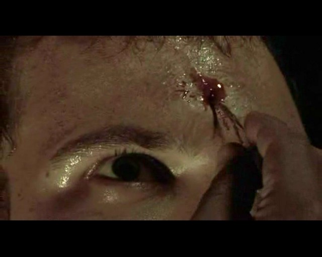 Haunted Forest Fotoğrafı