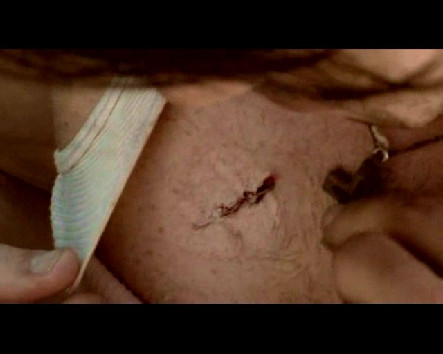 Haunted Forest Fotoğrafı