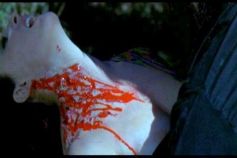 Werewolf Shadow Fotoğrafı