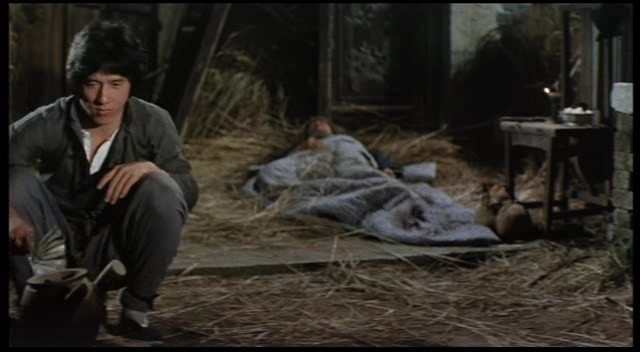 Kartalın Gölgesi Fotoğrafı