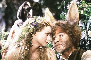 Bir Yaz Gecesi Rüyası Fotoğrafı