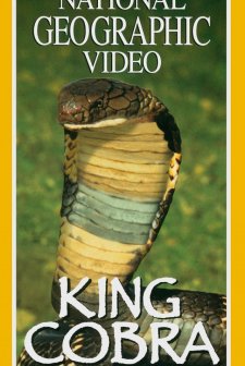 Kral Kobra (1997) afişi