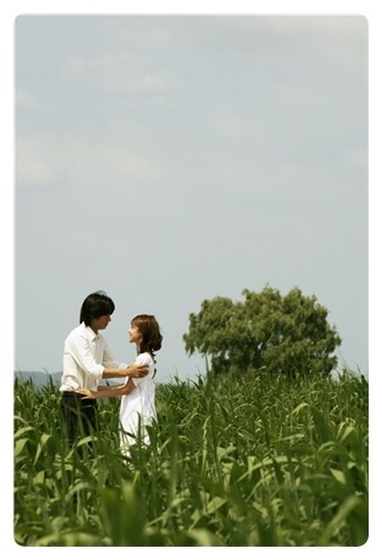 A Lovers Concerto Fotoğrafı