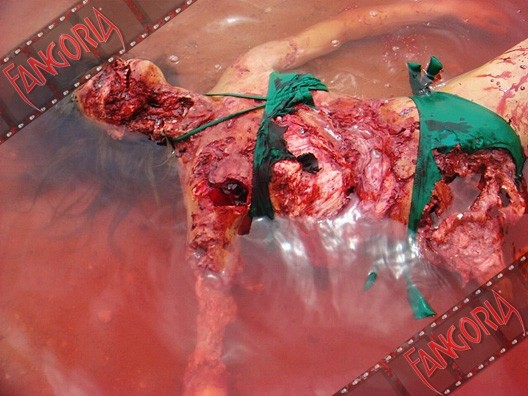 Pirana 3D Fotoğrafı