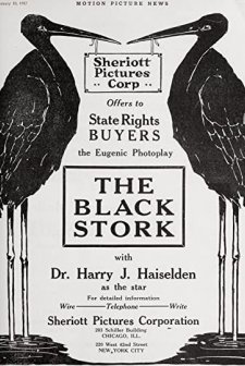 The Black Stork (1917) afişi