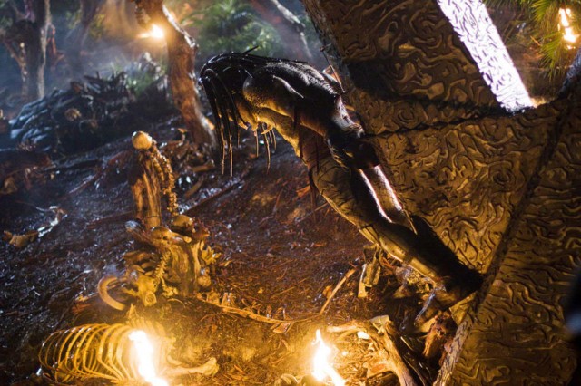 Predators Fotoğrafı