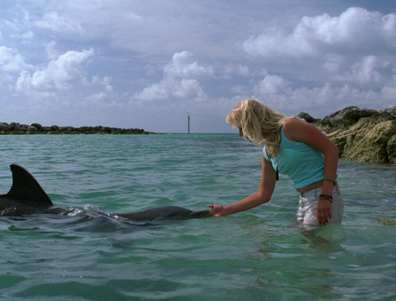 Eye Of The Dolphin Fotoğrafı