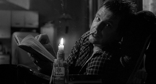 Siyam Balığı Fotoğrafı