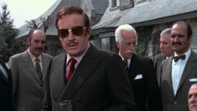 Ricco The Mean Machine Fotoğrafı