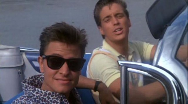 Flamingo Çocuk Fotoğrafı