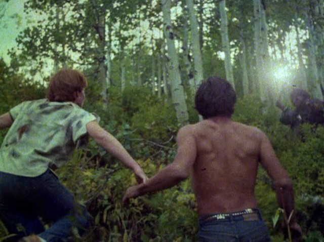 Don't Go in The Woods Fotoğrafı