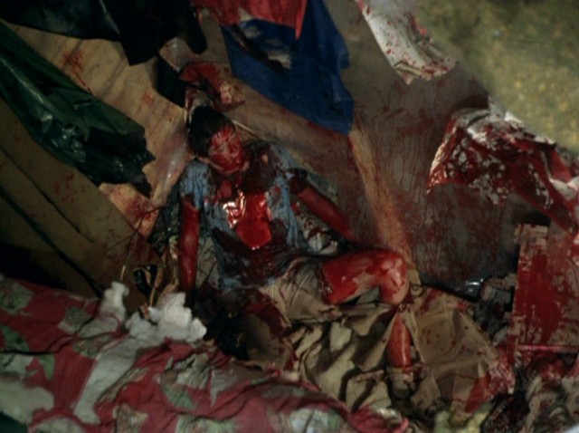 Don't Go in The Woods Fotoğrafı