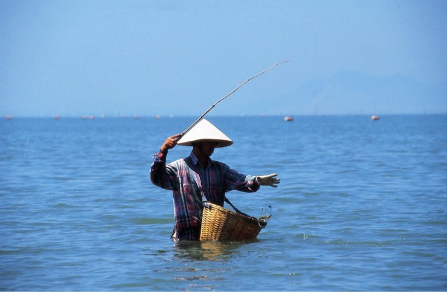 To Live - Save Our Saemankum fotoğrafı