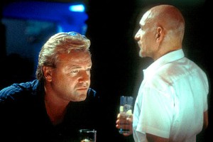 Seksi Hayvan fotoğrafı