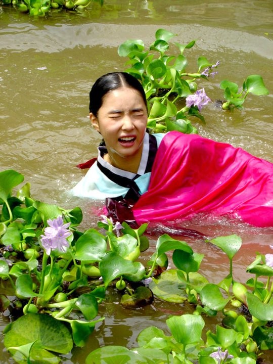 The Land Fotoğrafı